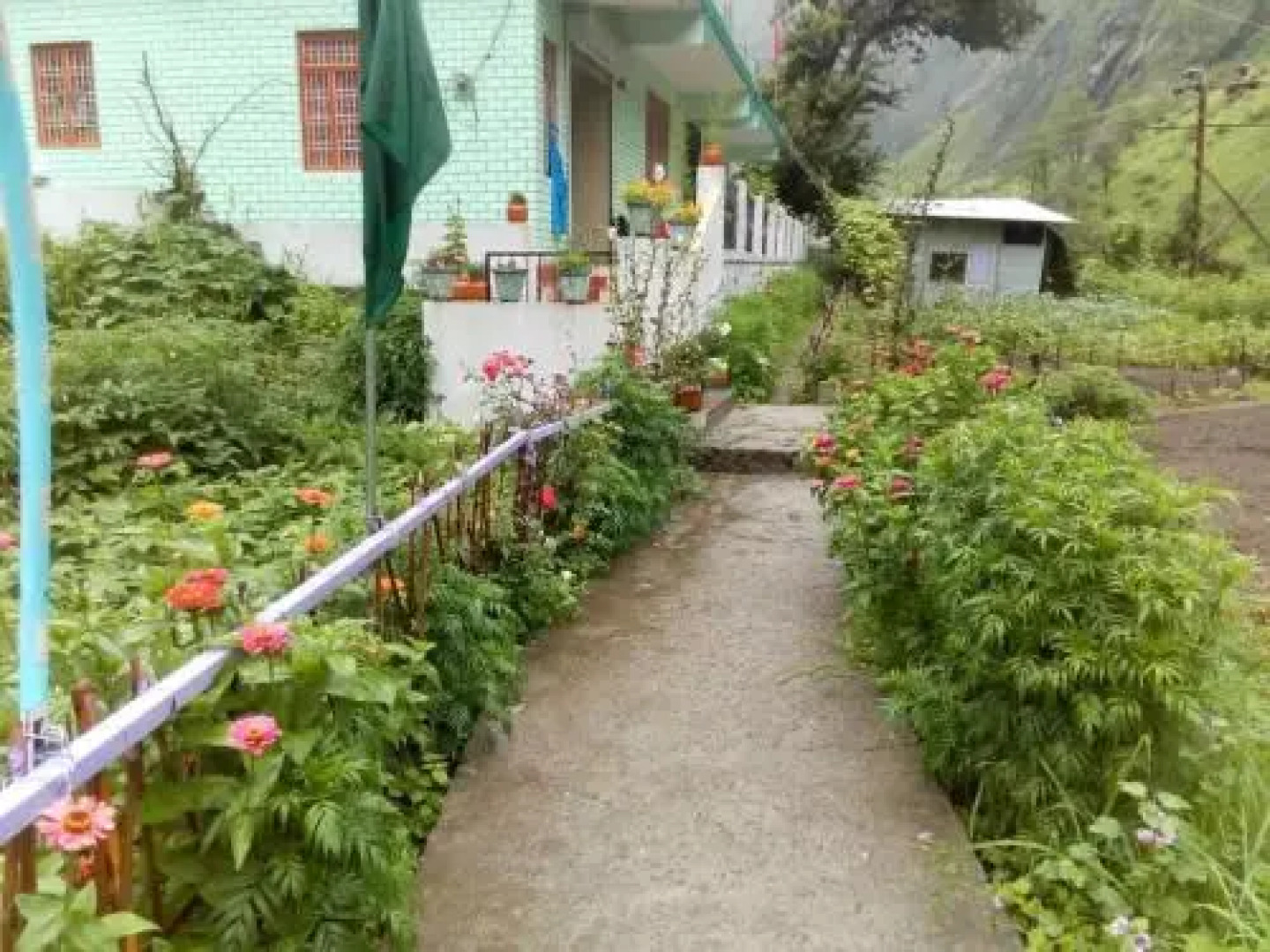 Peaceful stay in course of Nature