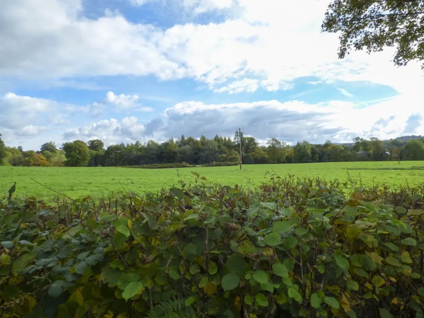 Foxes Den, Llandrindod Wells