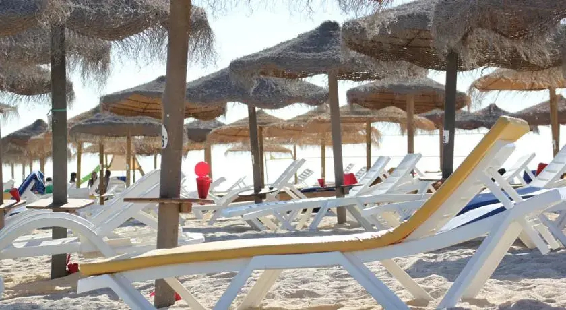 Monte da Alecrineira