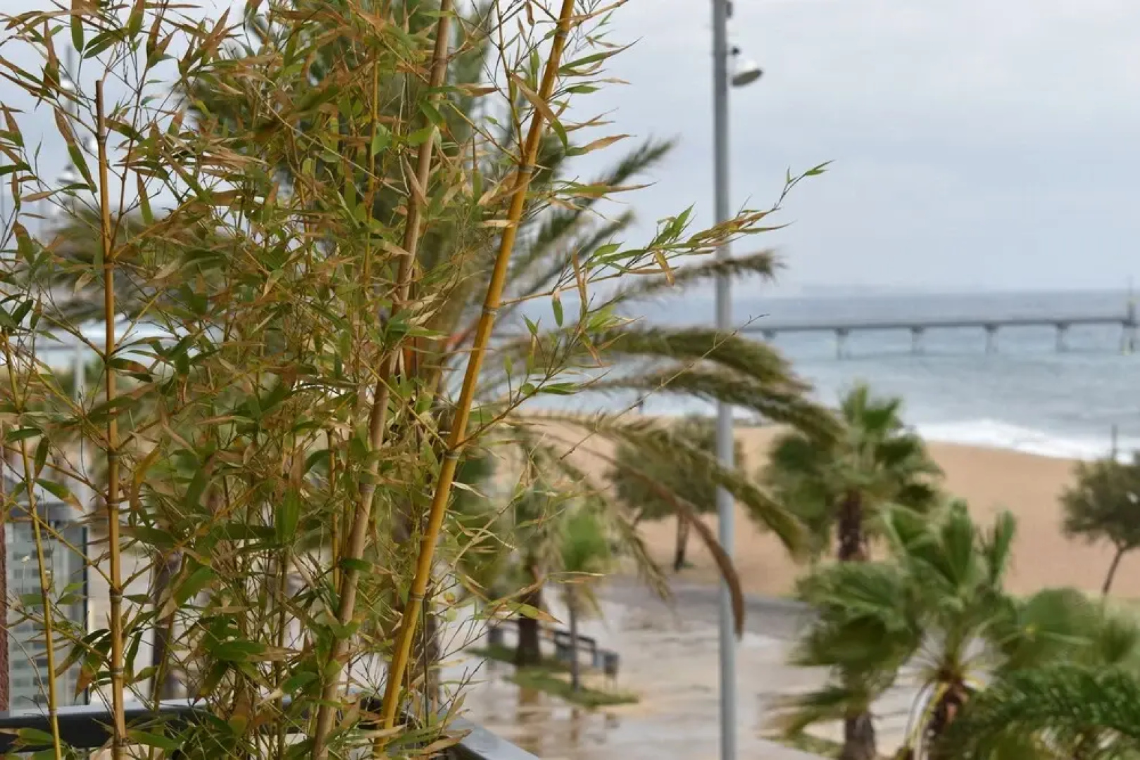 Barcelona Beachfront Apartment