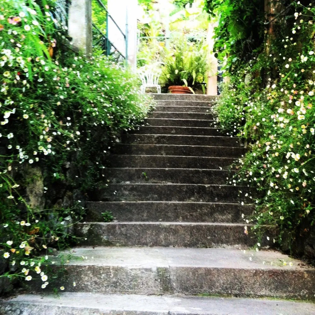 Serenesse - Bed & Breakfast