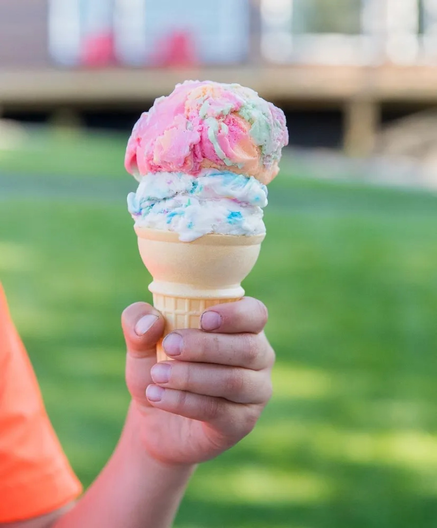 Stardust Inn and Chalets