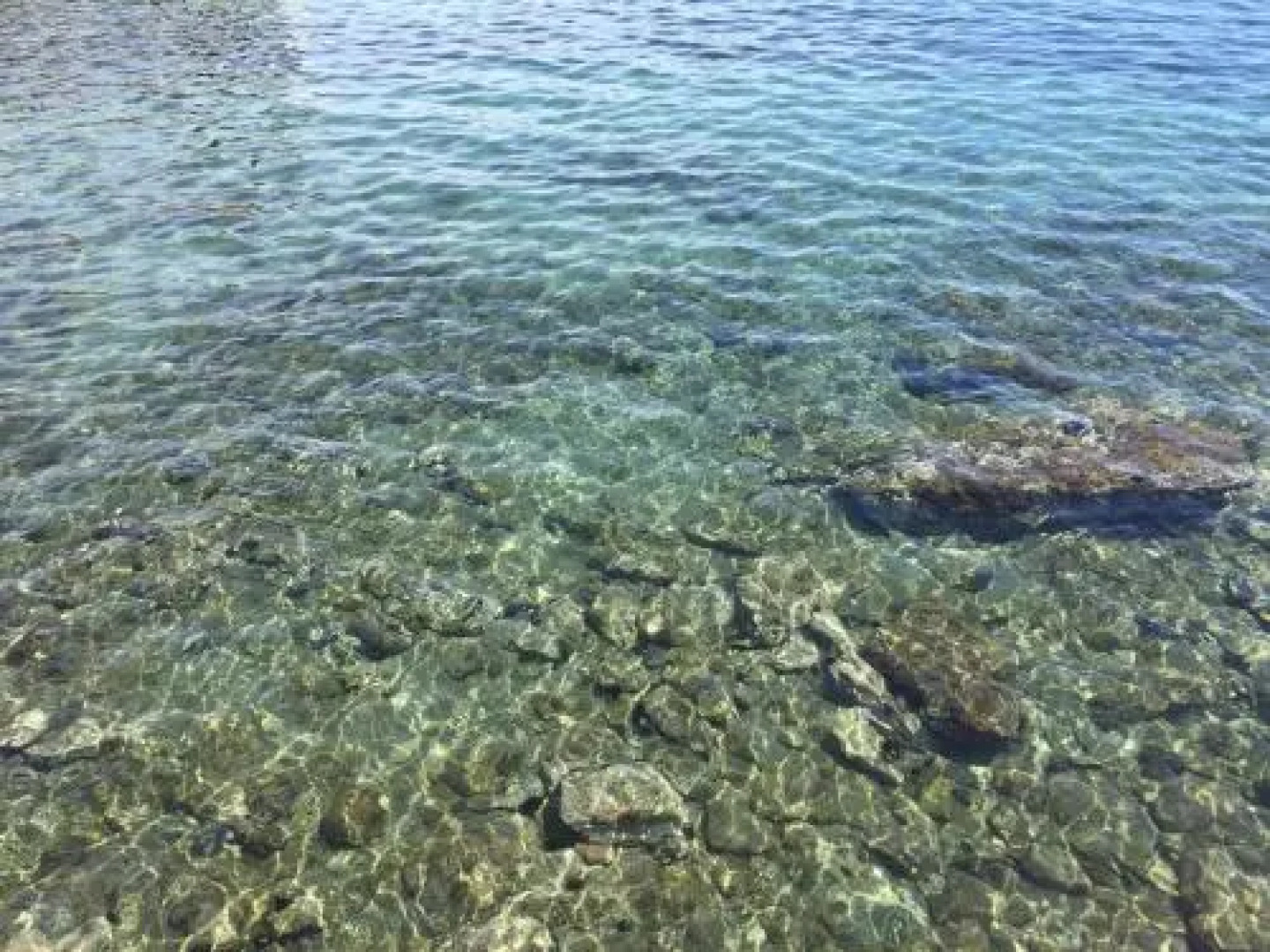 Casa del Pi Interior