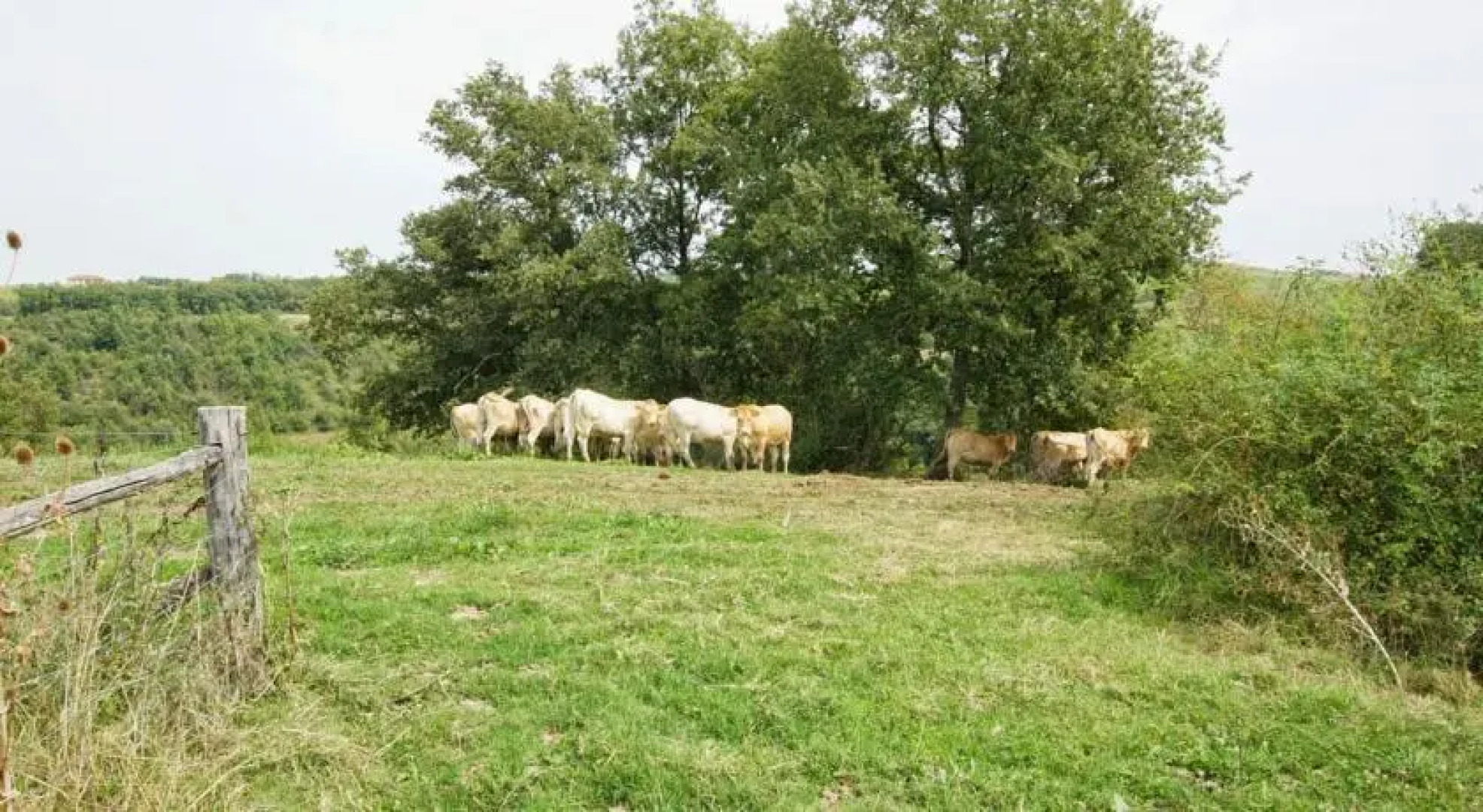 Holiday home Domaine Labat