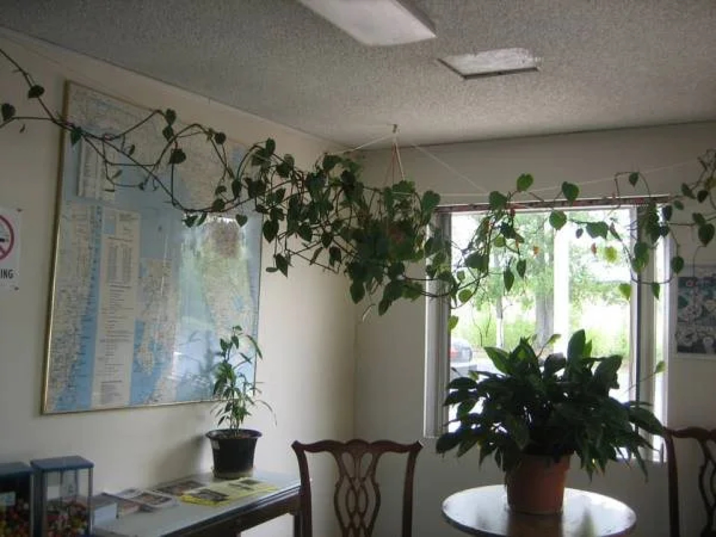 Executive Inn - Marianna