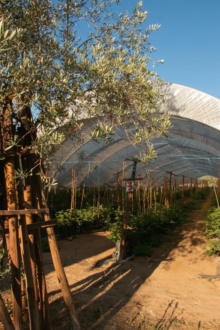 Quinta de SantAna da Várzea