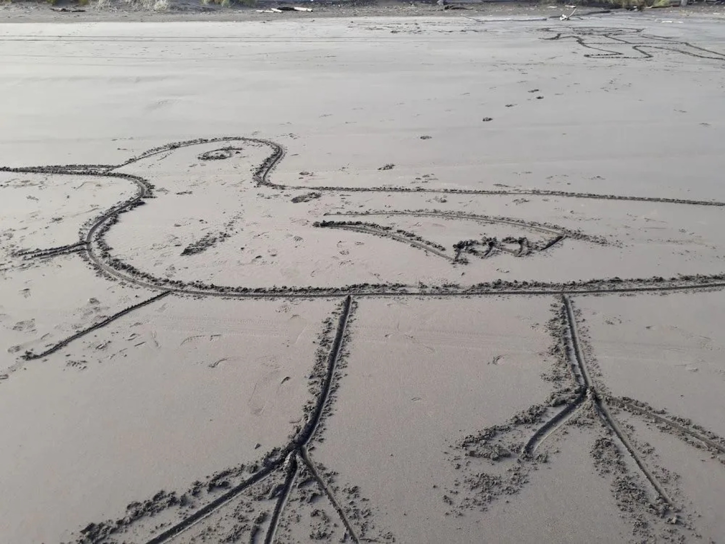 Opunake Beach Kiwi Holiday Park