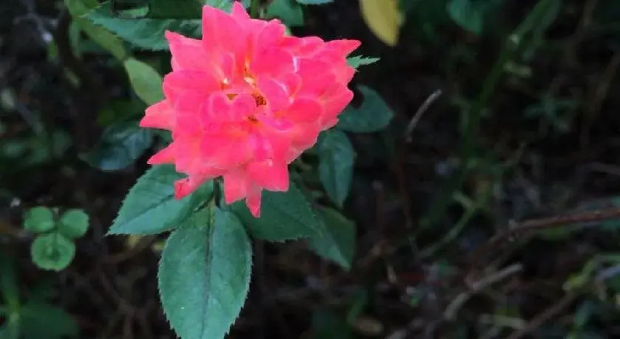 Zhangjiajie Zhongtian International Hostel