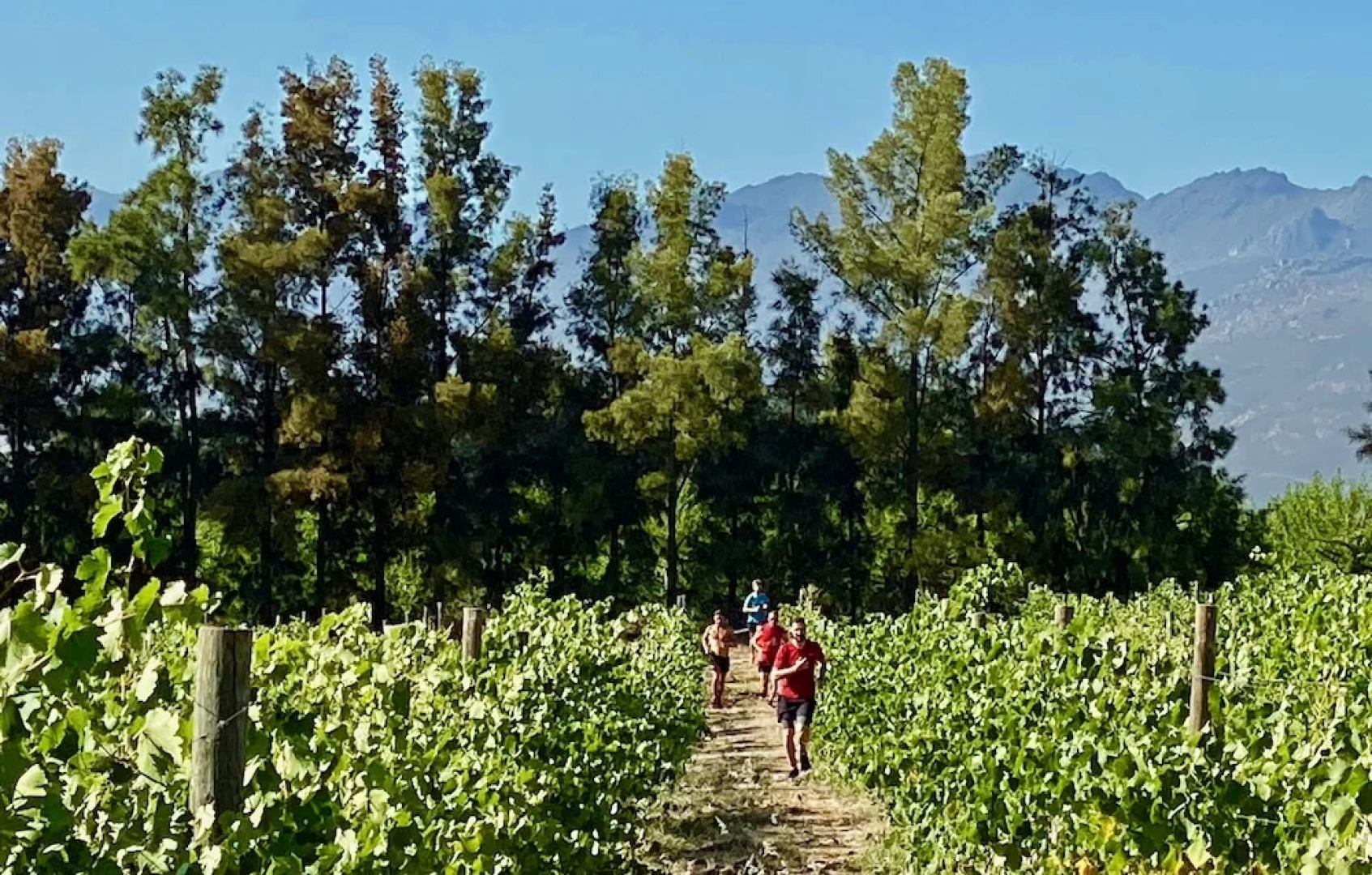 Duikersdrift Winelands Country Escape