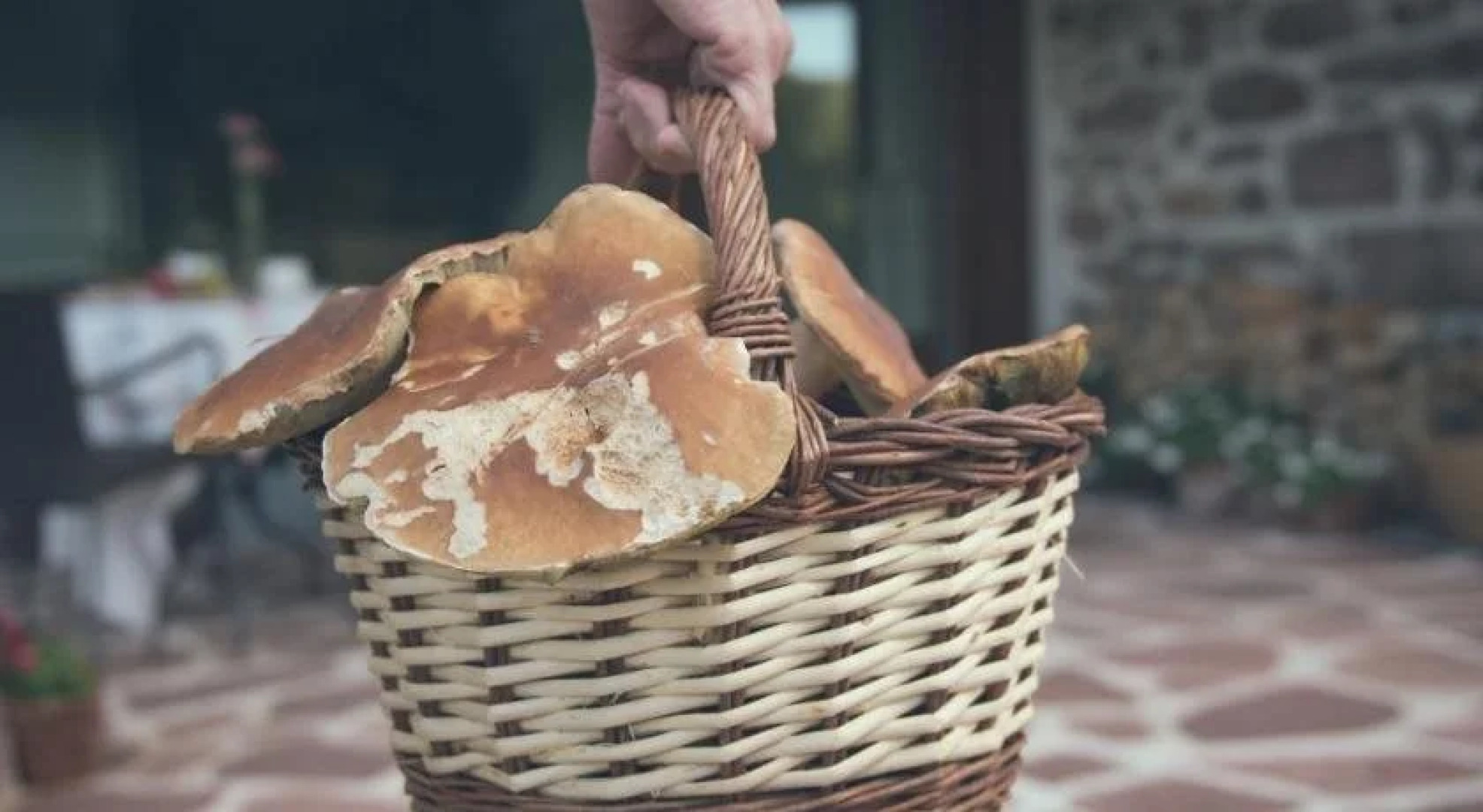 Olagaraia - Adults Only