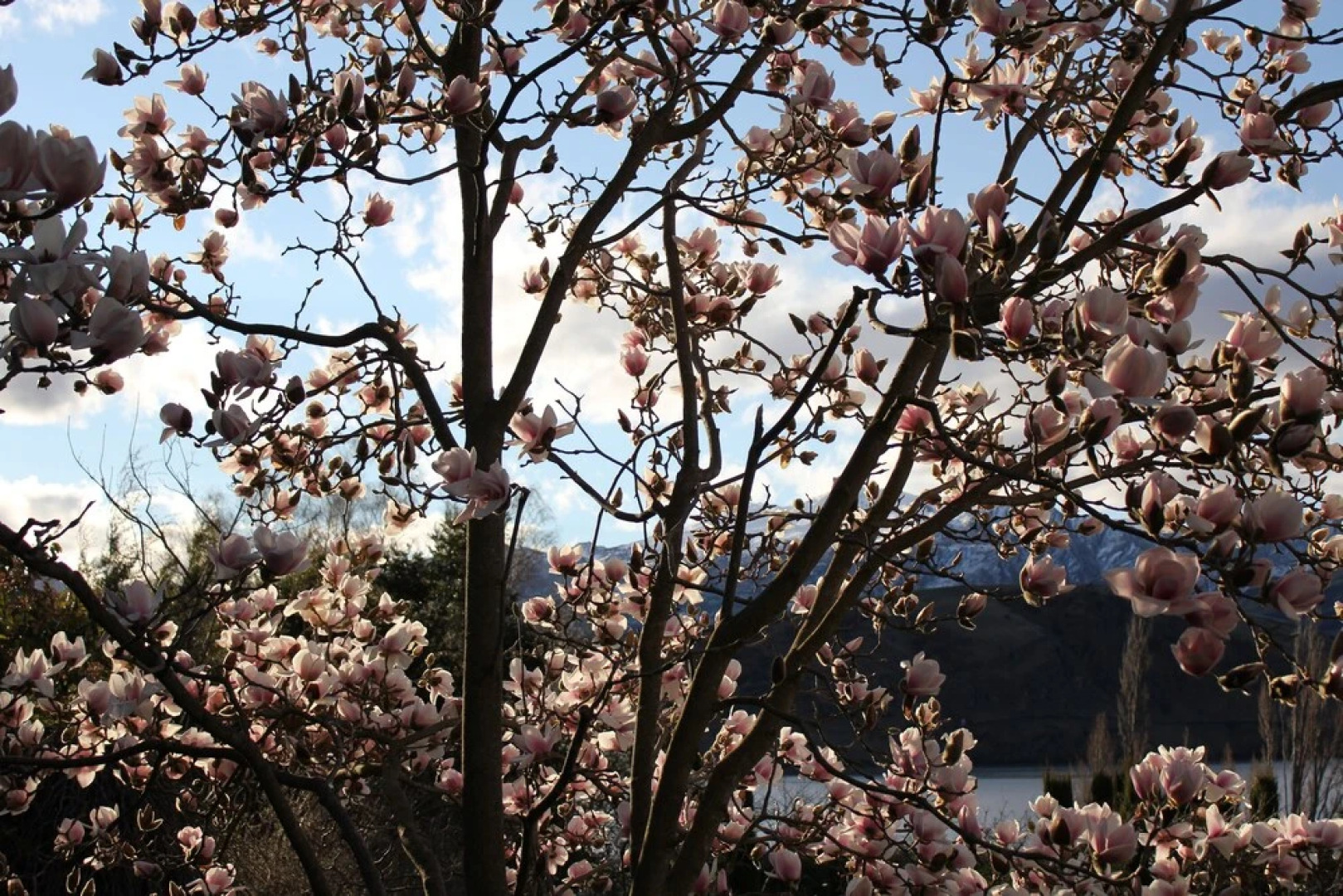 The Turret Bed and Breakfast