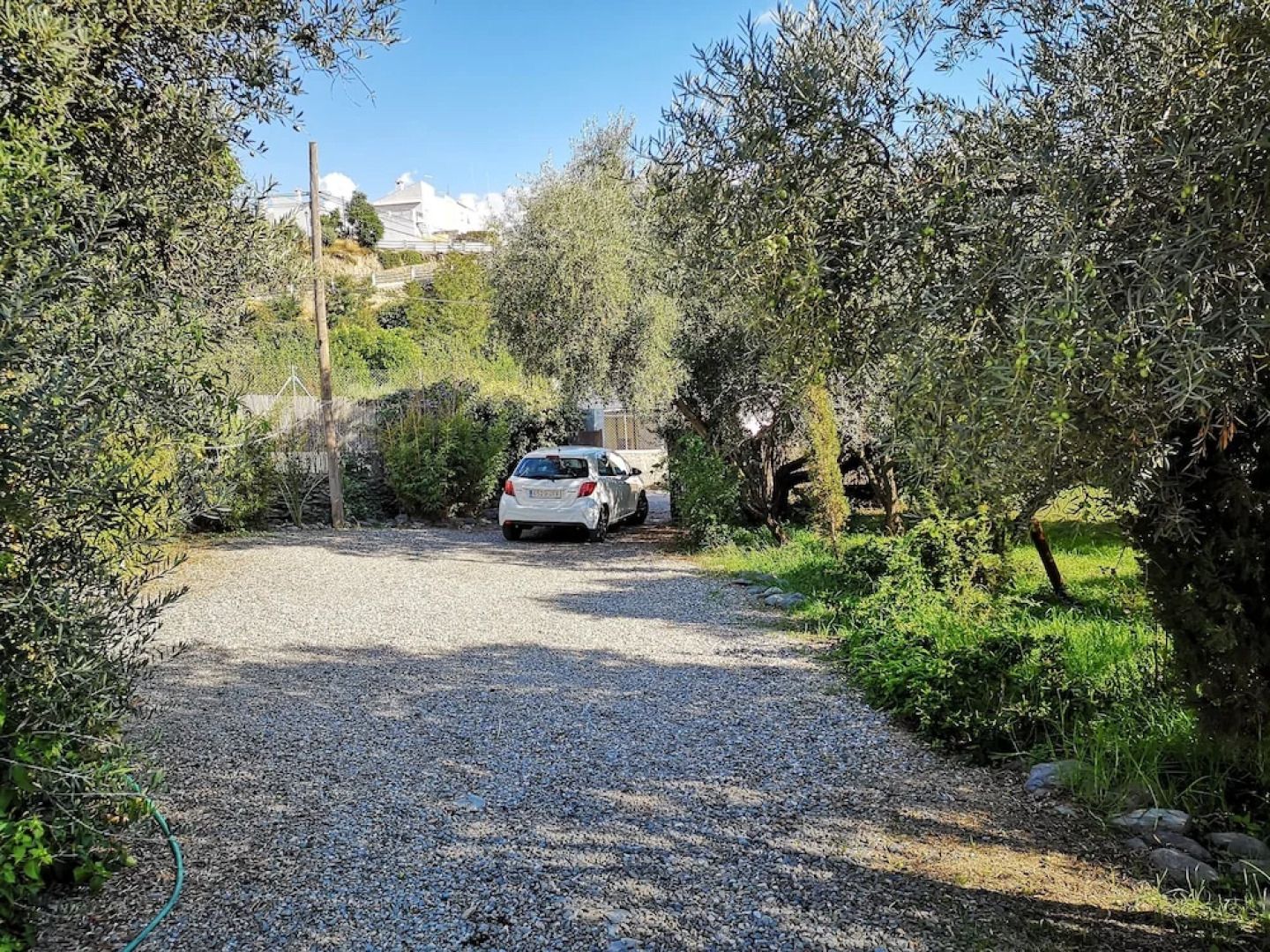 Cortijo El Nuevo Olivo