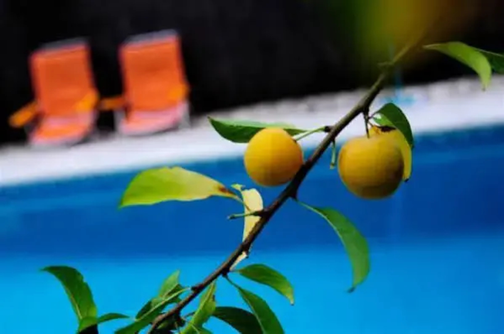 Posada el Parral - Hostel