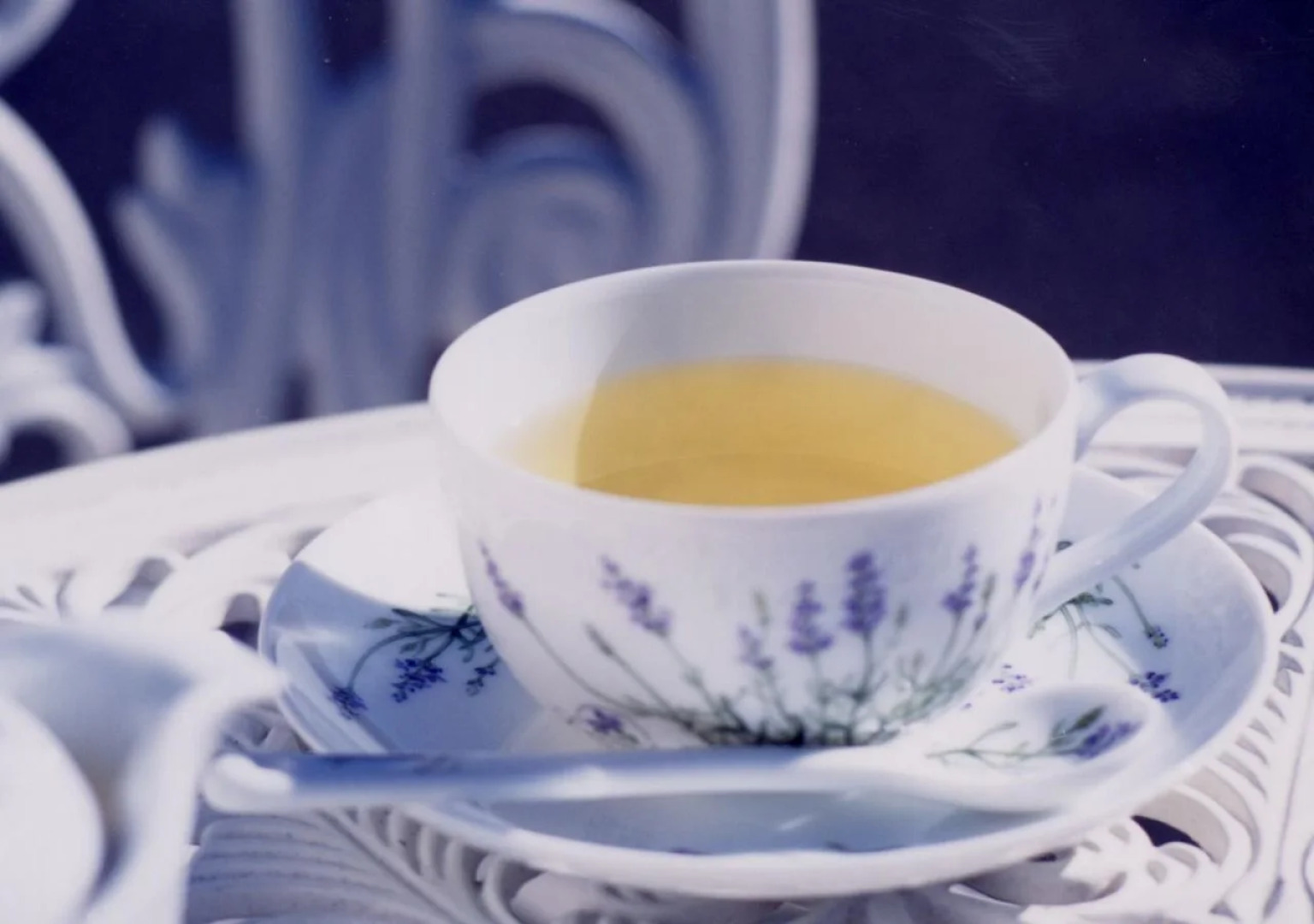 Kawaguchiko Lakeside Hotel