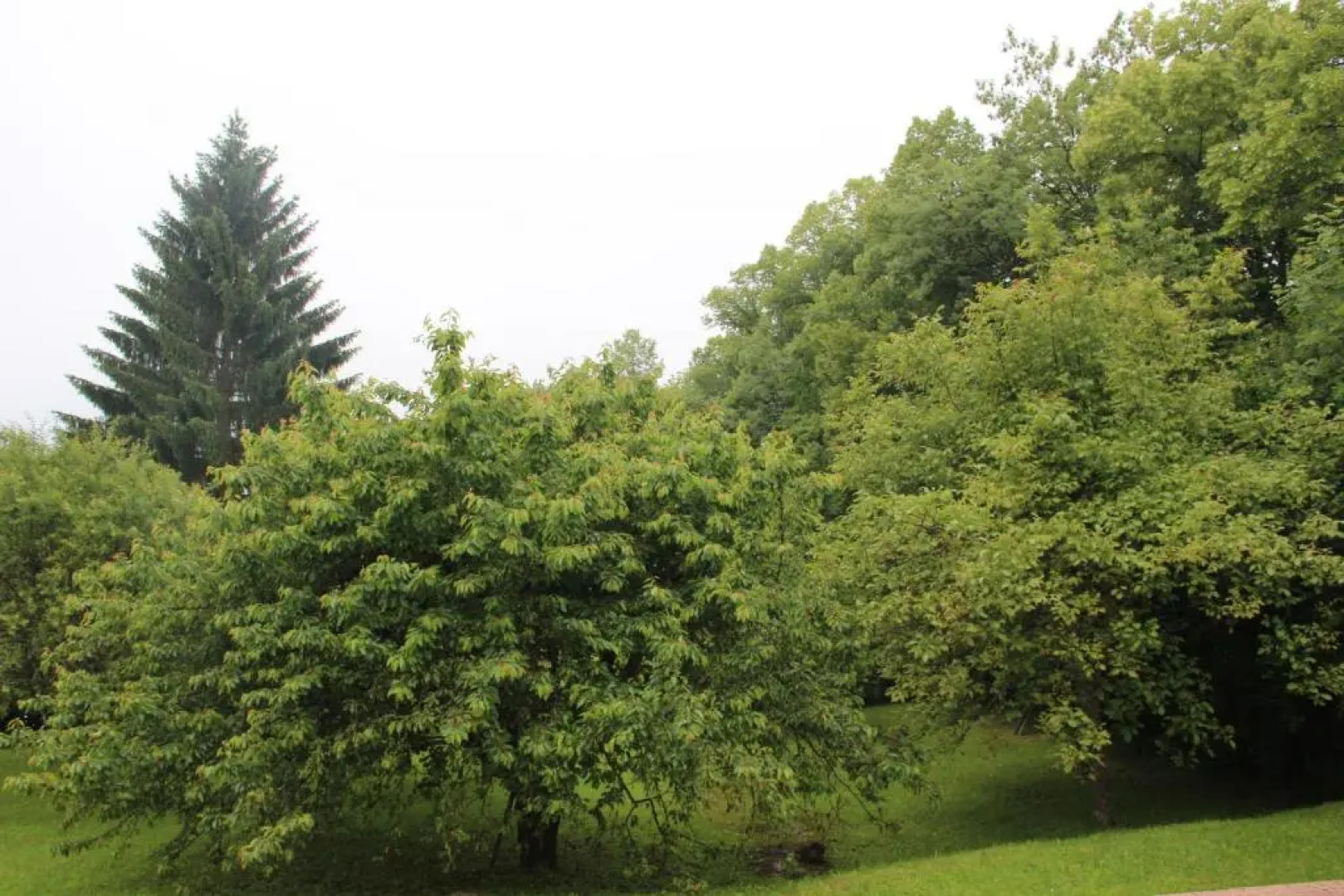 Holiday home Maison de la litiére