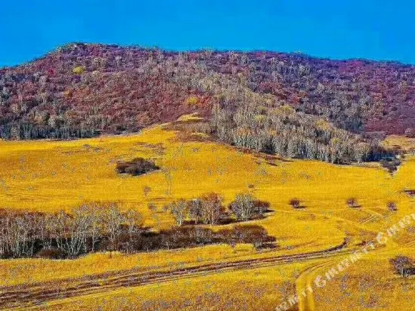 Xi Lin Nai Er Resort