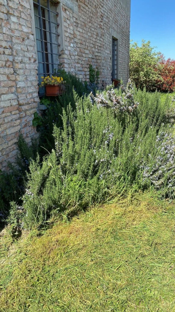 Affittacamere Ca' da Mazapedar