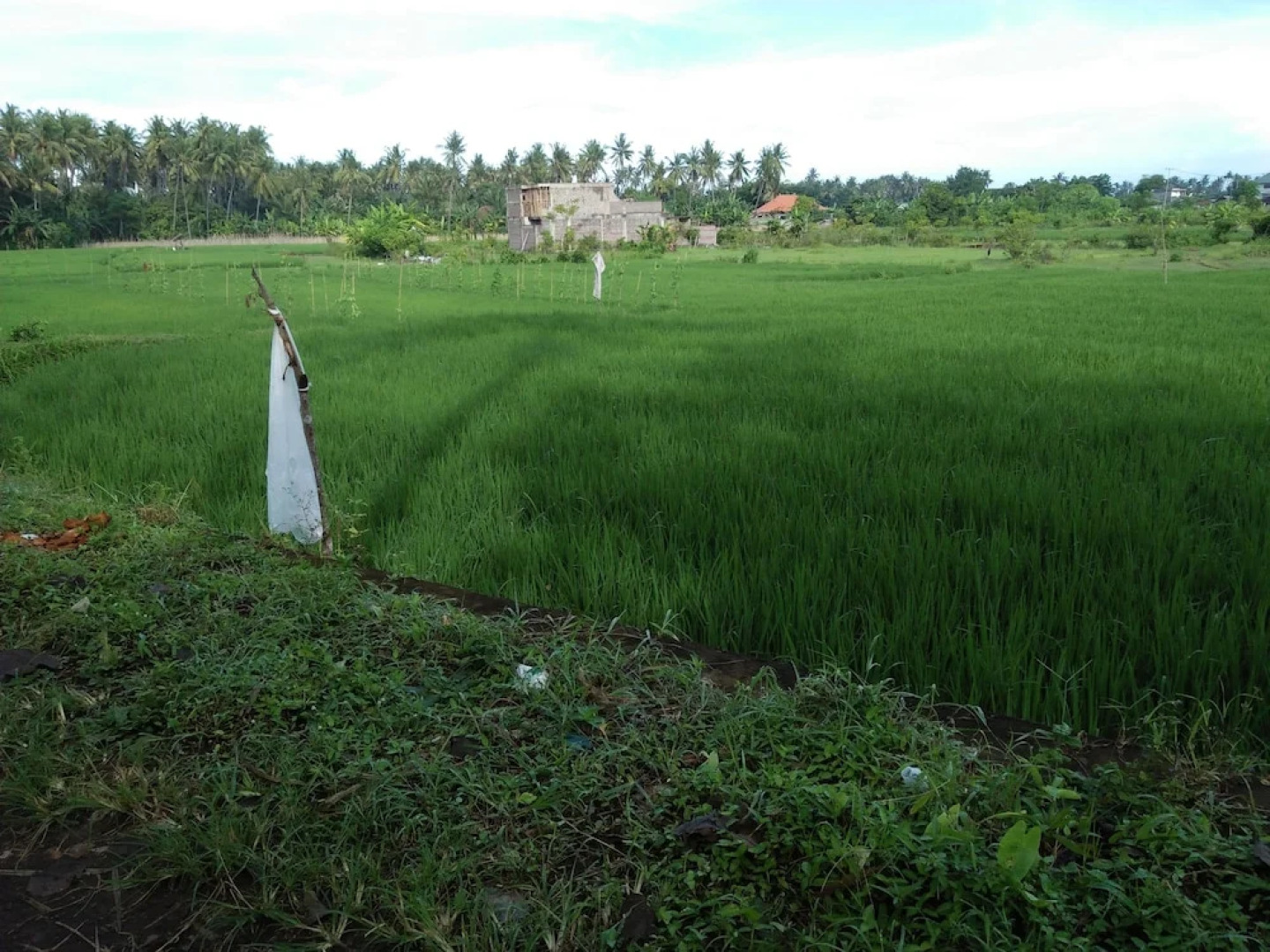 Memes House Backpacker