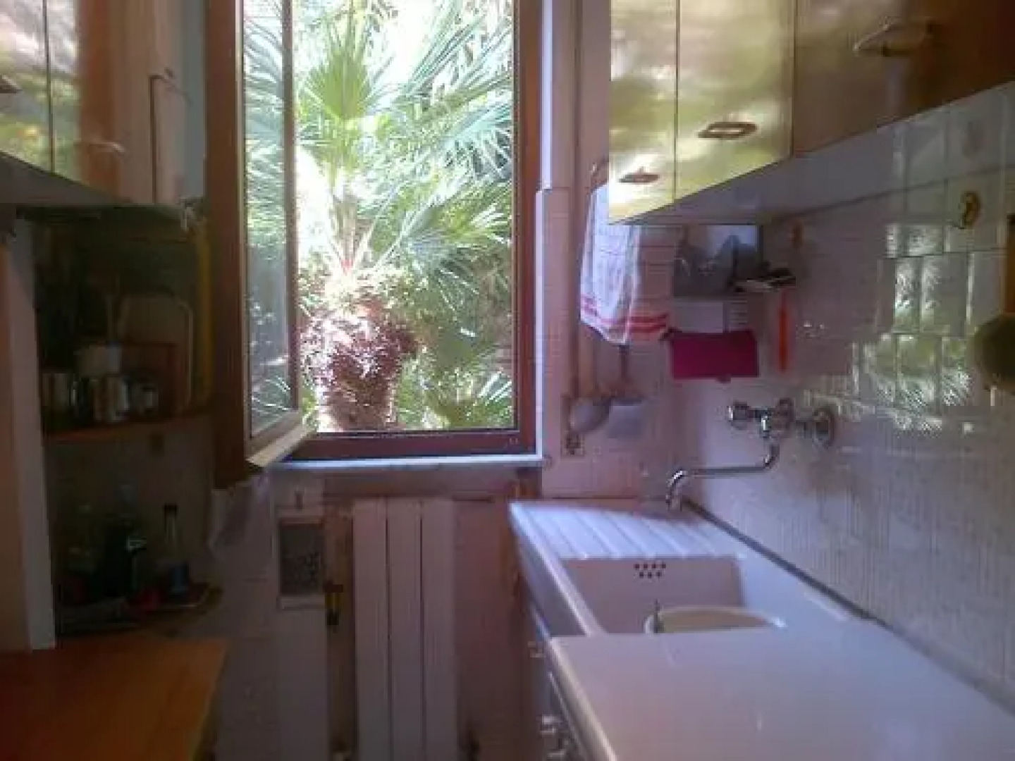 Home Caviglia CITRA 09029-LT-0618