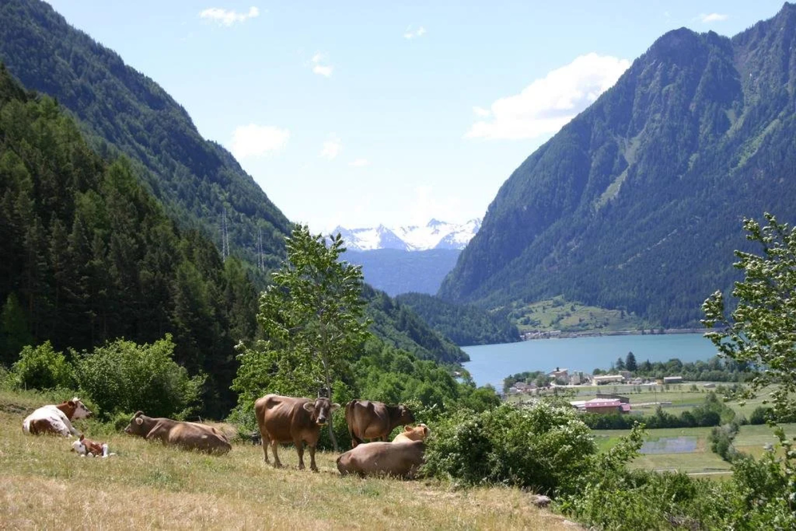 Pensione-Ristorante Capelli