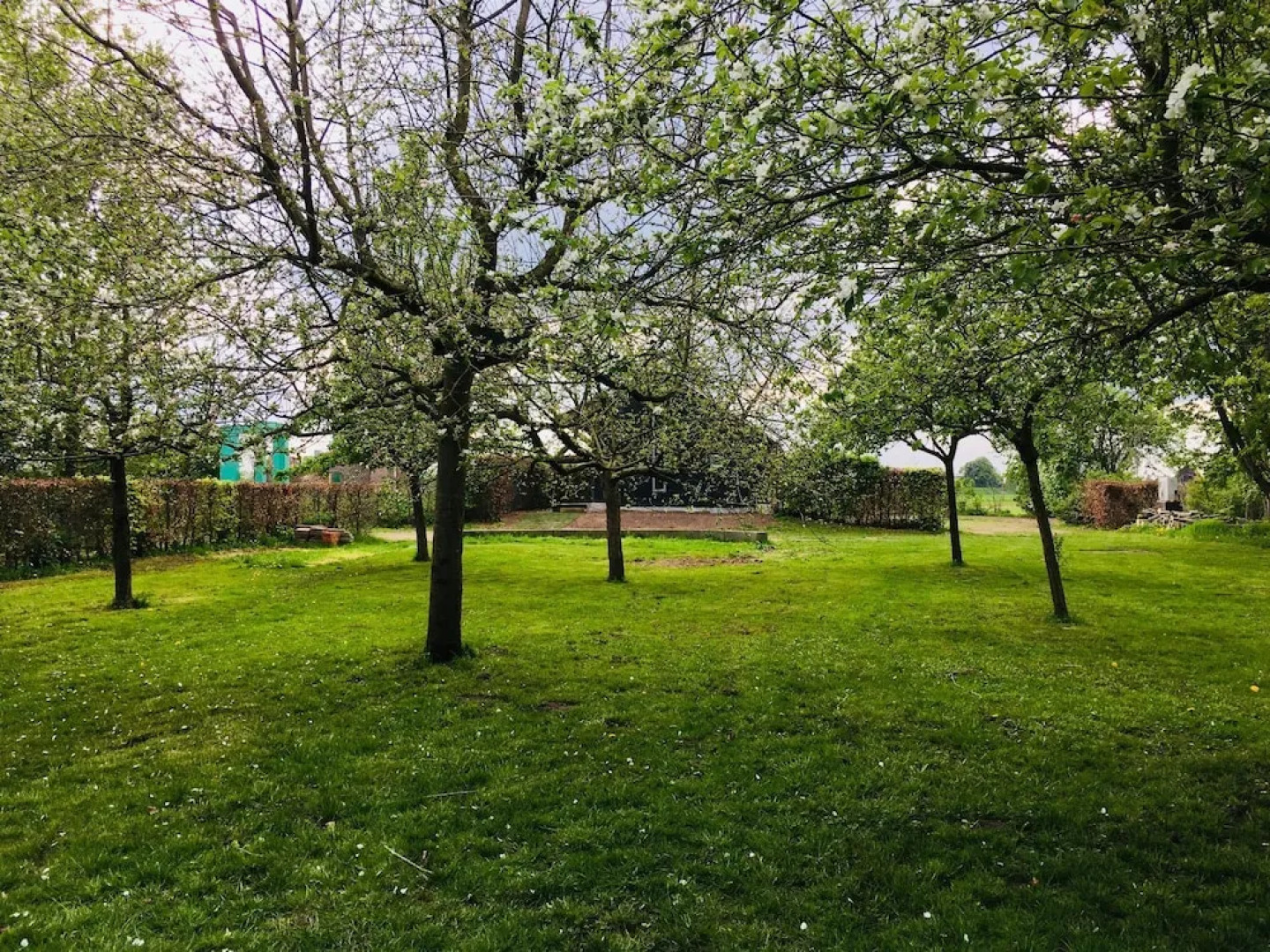 In het huis van Jo Daggert