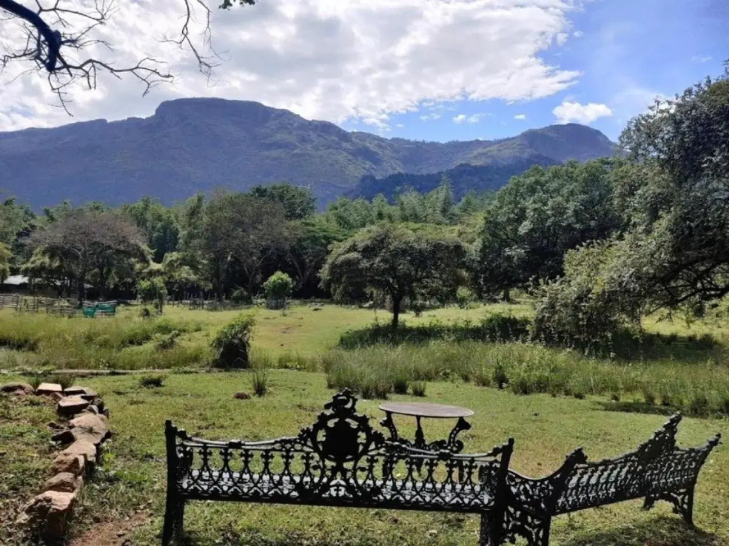 Jungle Retreat Masinagudi