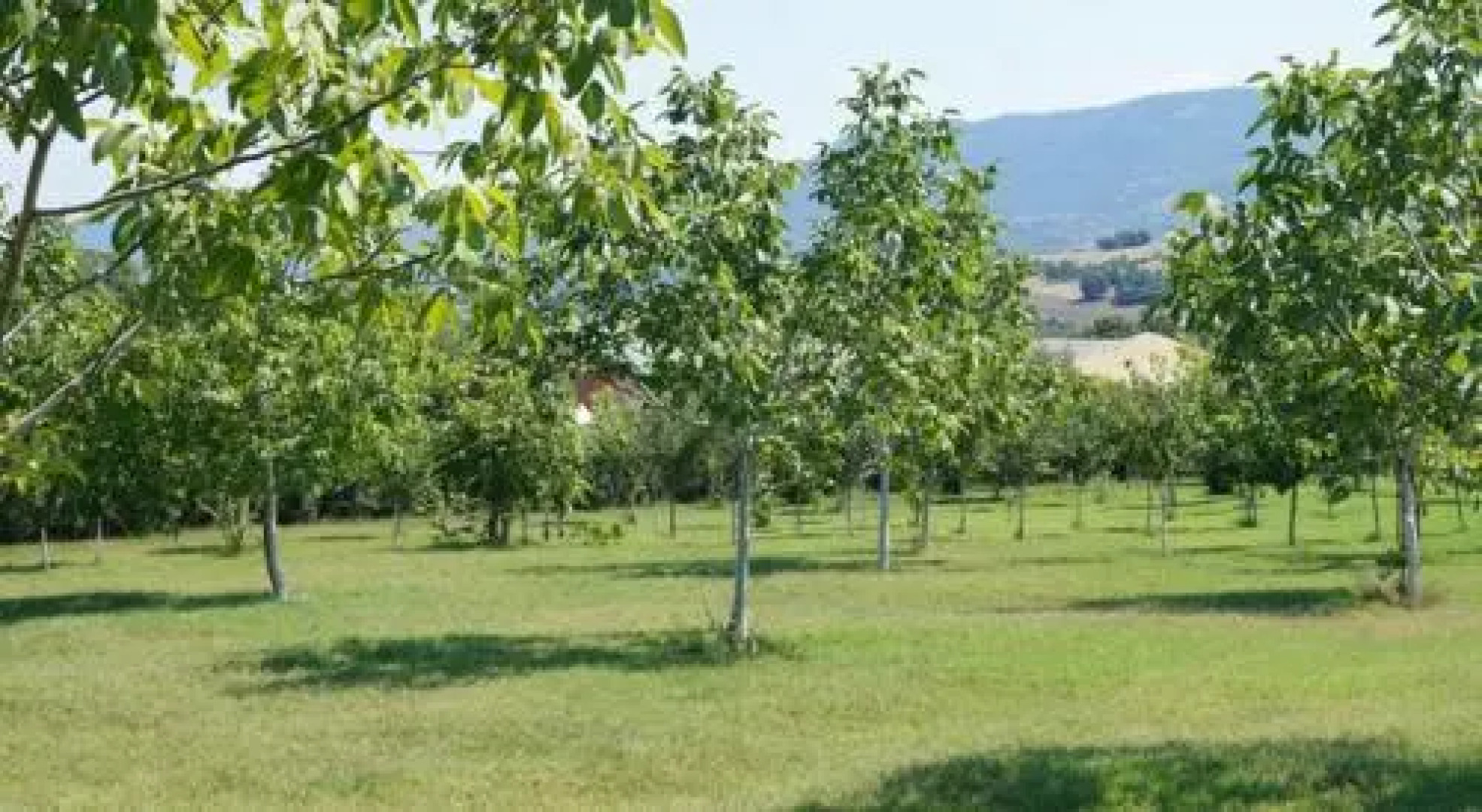 Hostel Restoran Slon