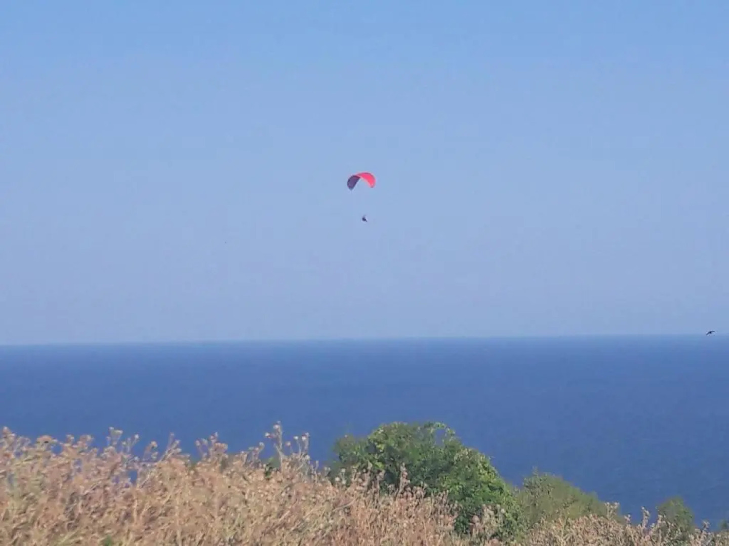 Villa Byala Grape House