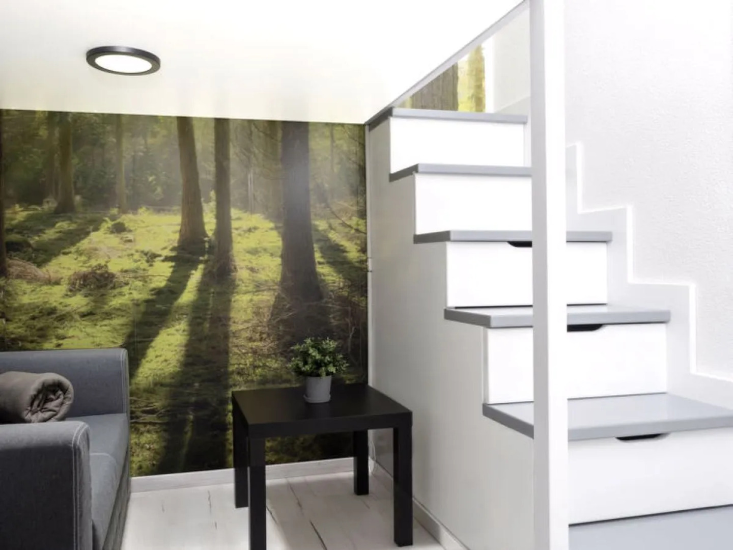 Lago di Lugano 11259