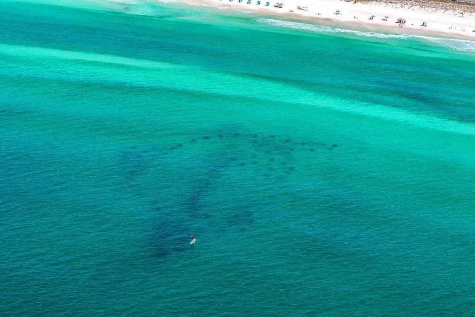 Beach House of Stress Relief