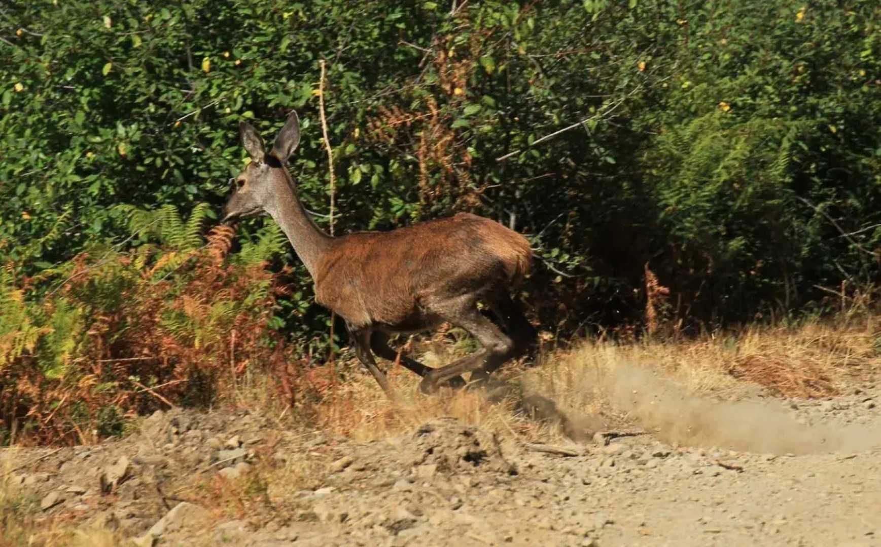 Residencial Martinho