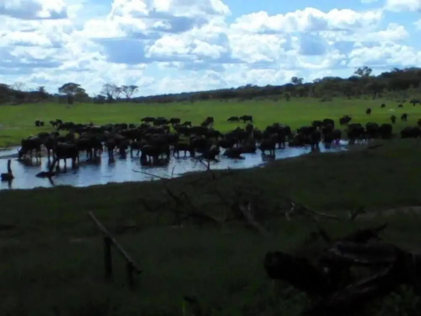 The Tree Lodge at Sikumi