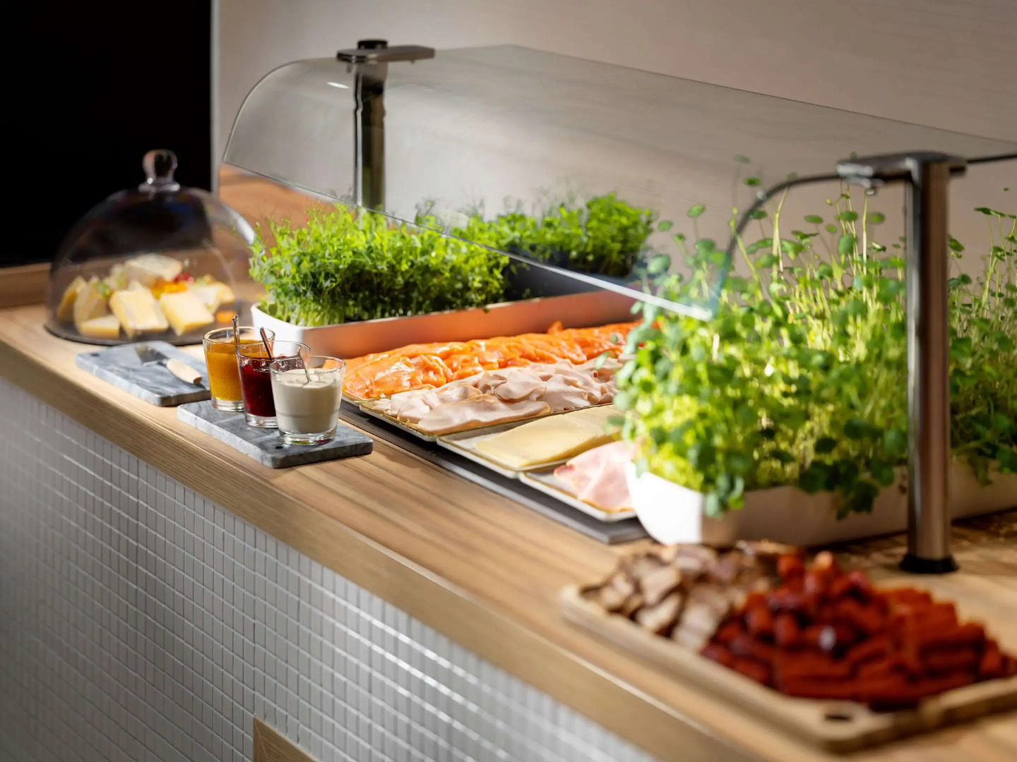 Clarion Hotel Vienna South