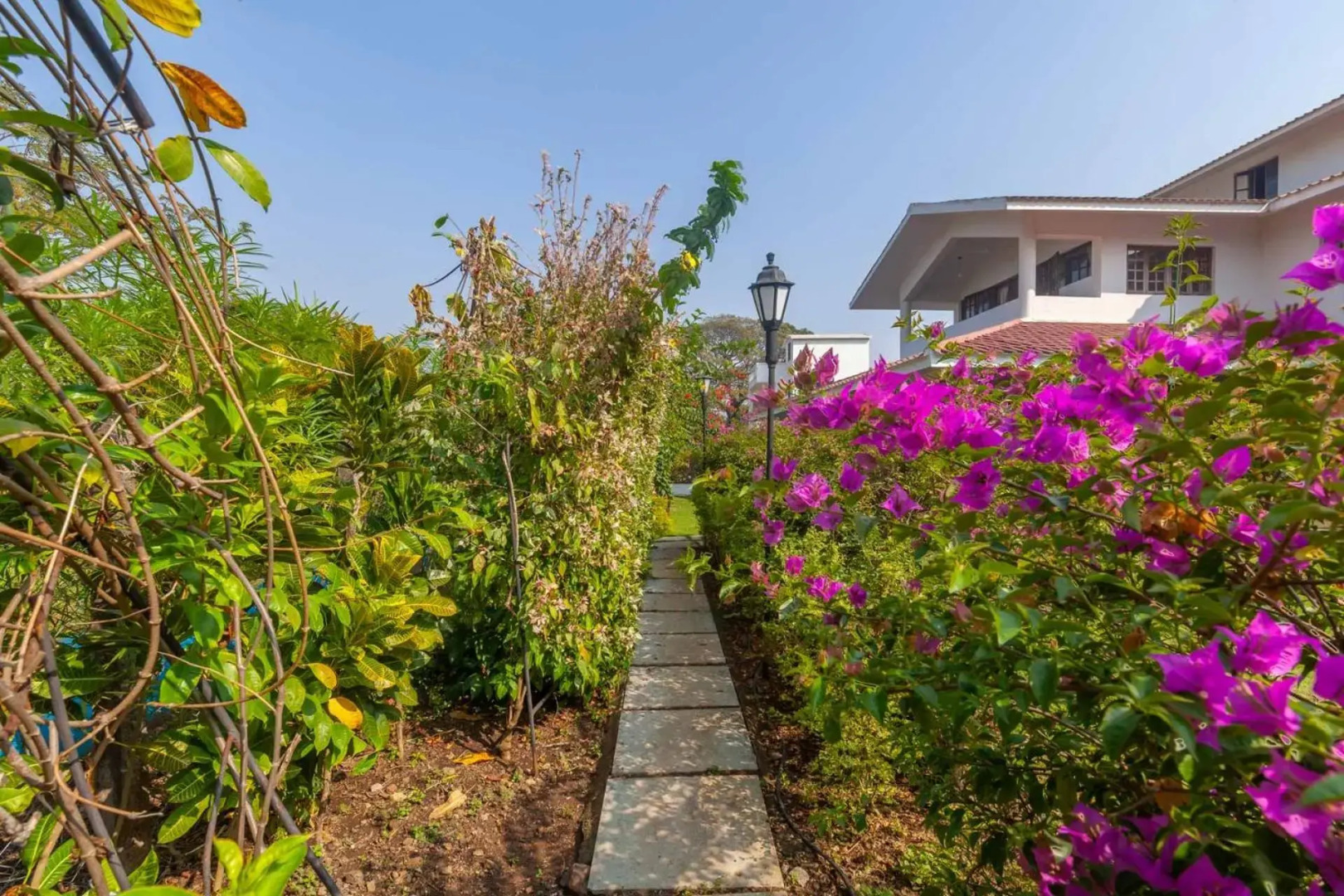 StayVista at Boho Banyan