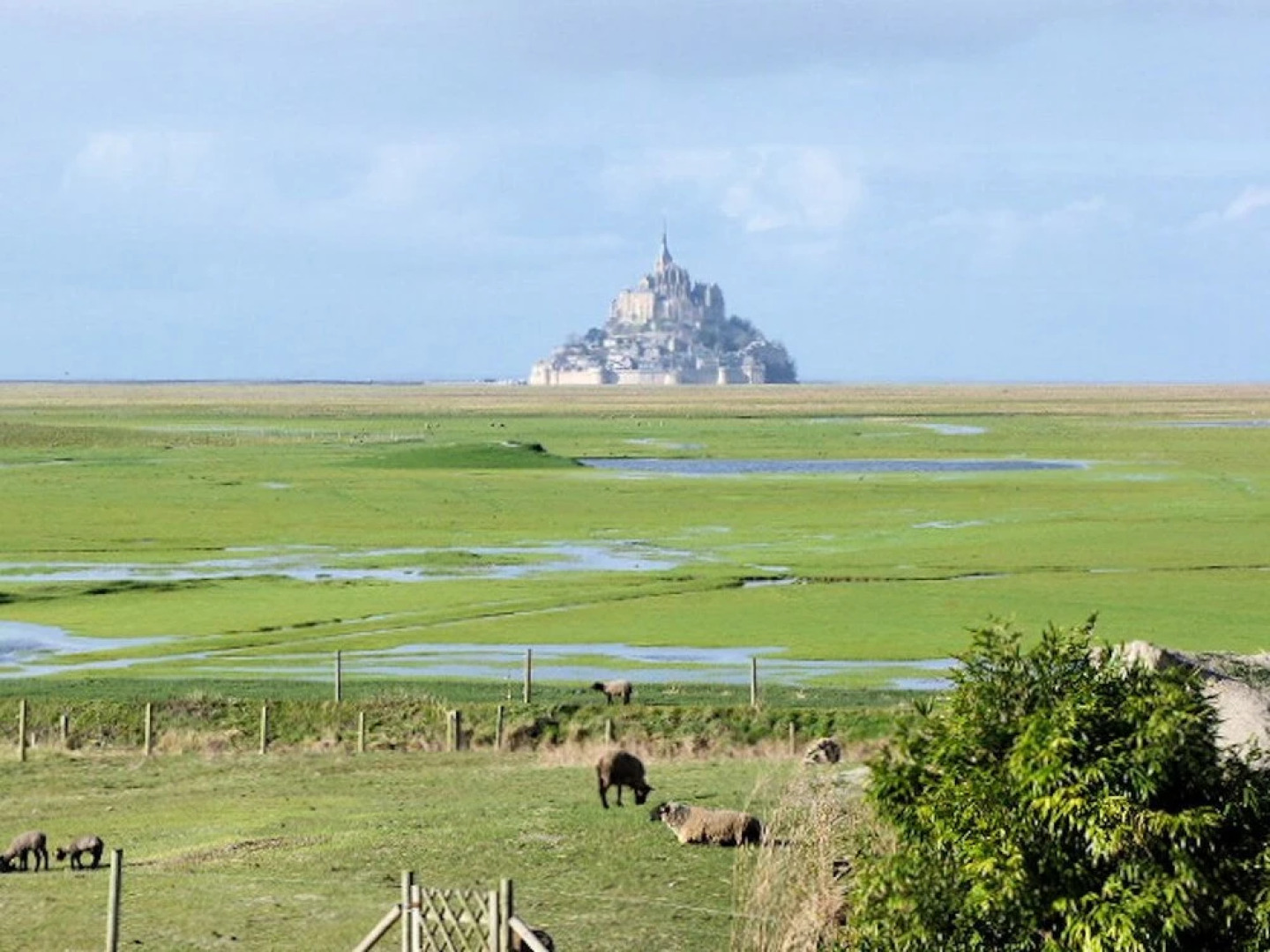 Le Marquis De La Guintre