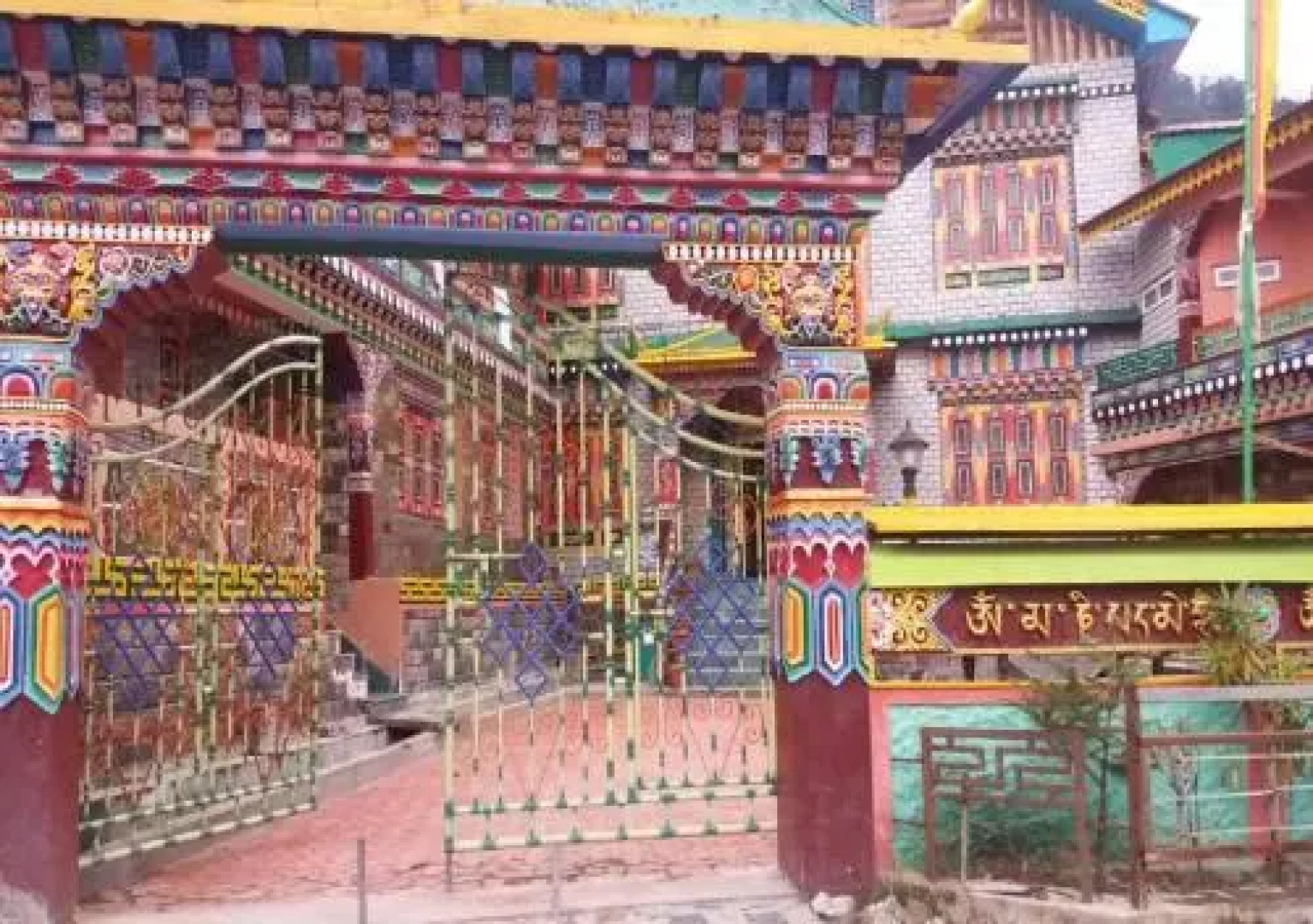 Delight The Fortuna Lachen