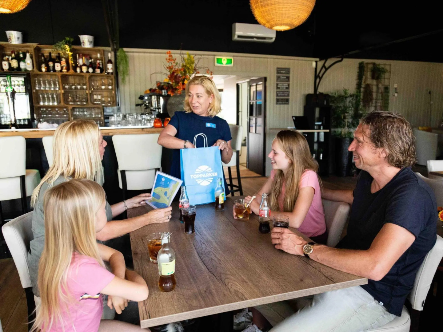 Modern chalet with sauna and spa, on a holiday park in a wetland area