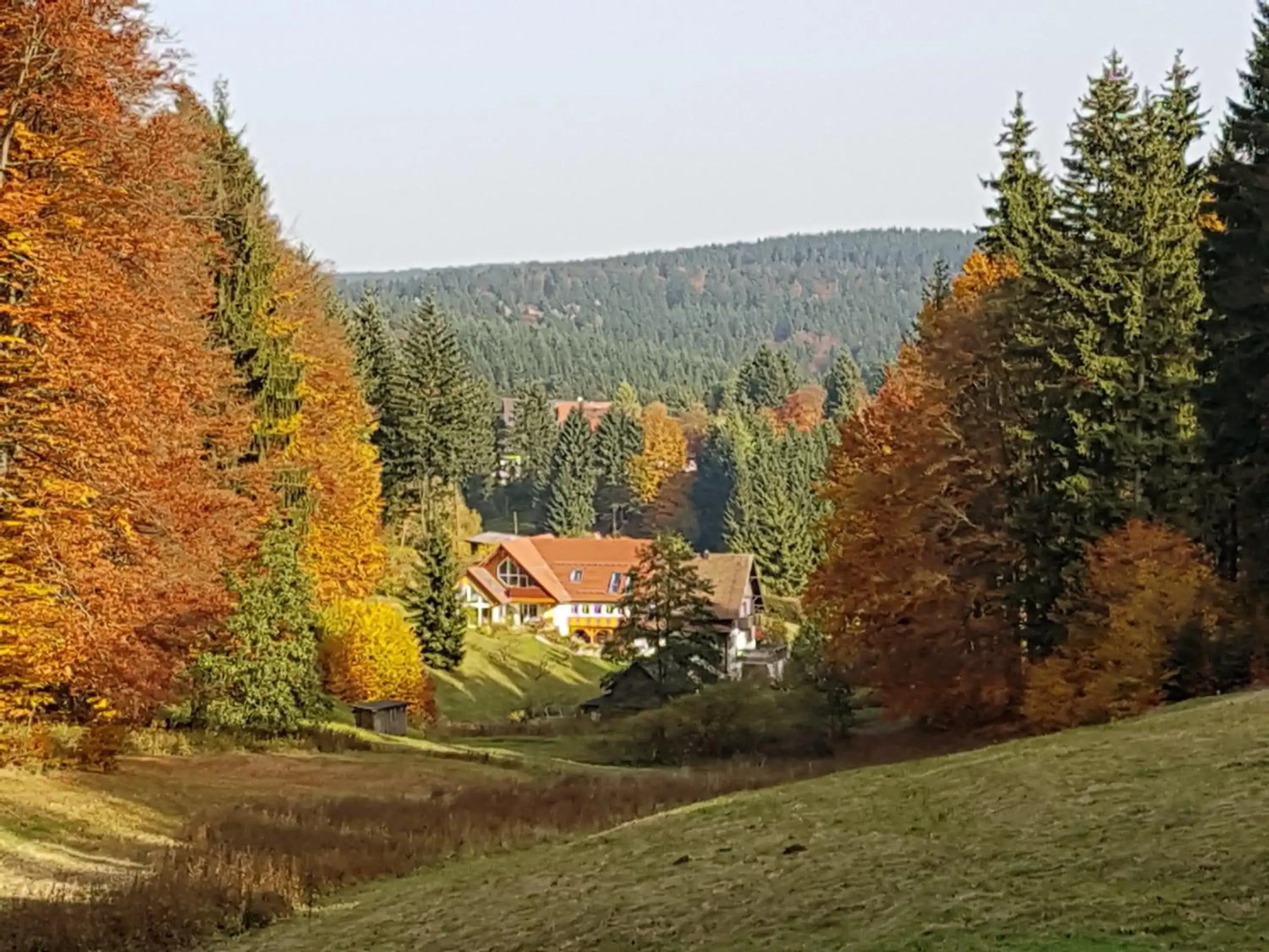 Ferienhaus am Rennsteig