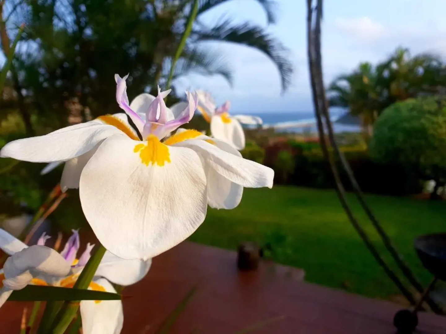 Villa La Mercy Guest Suite