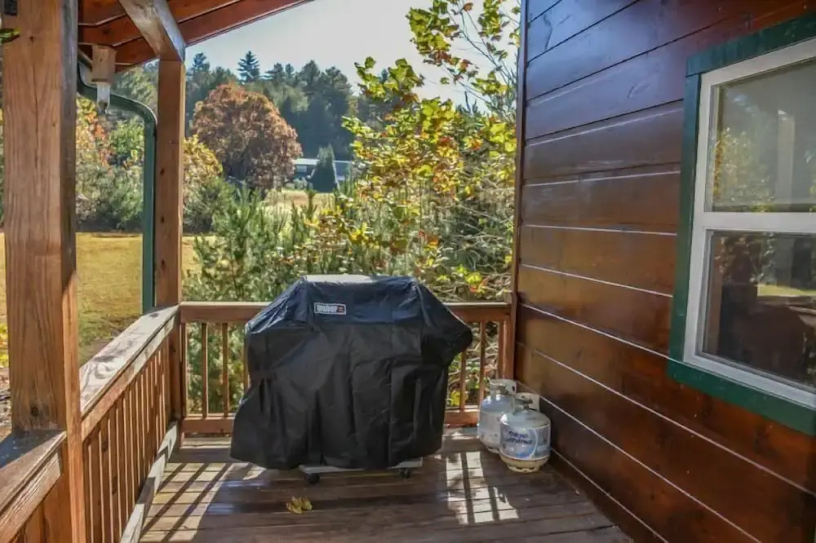 Rainbow Trout Condo On The Toccoa