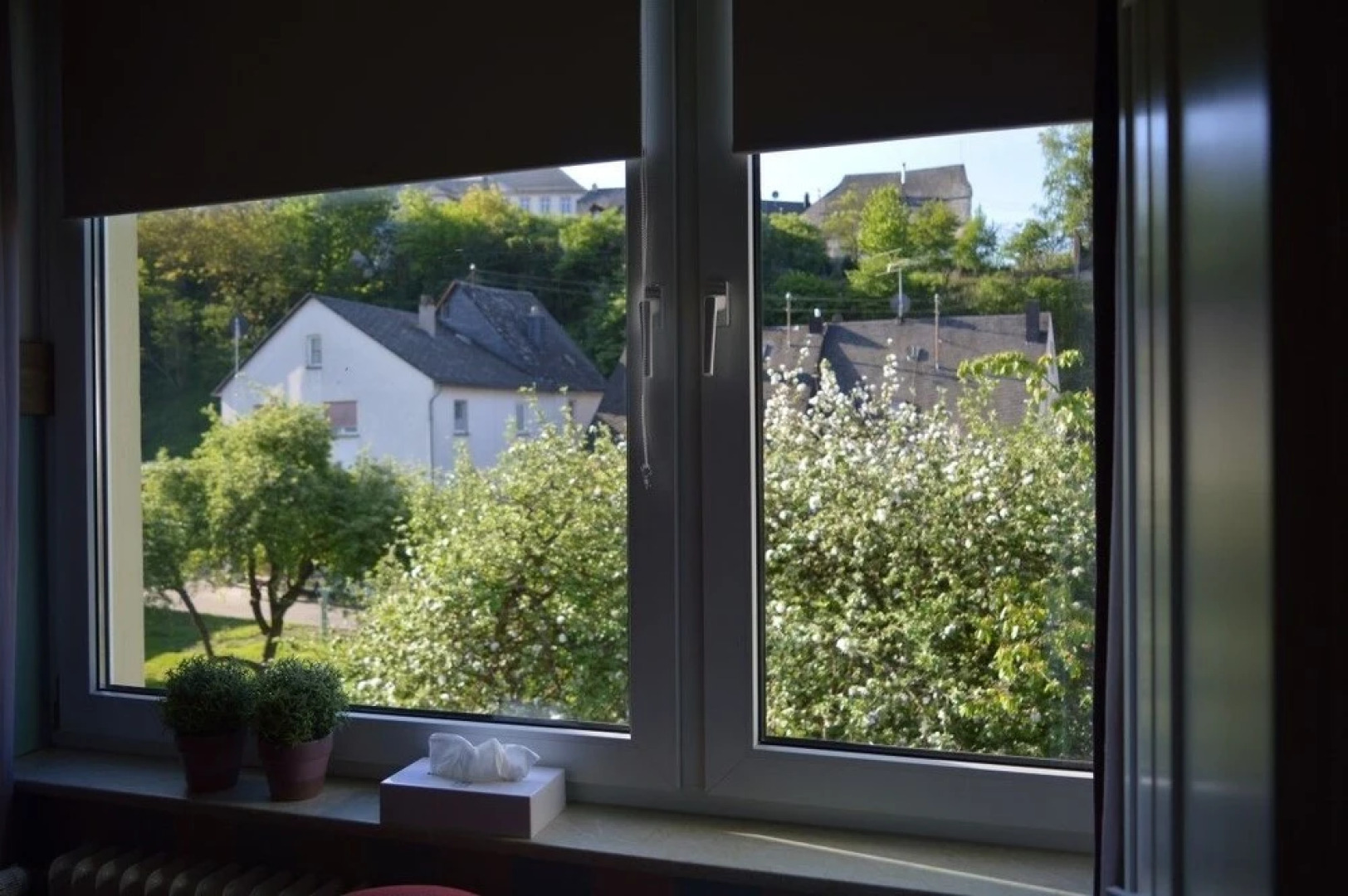 Ferienhaus Moselglück