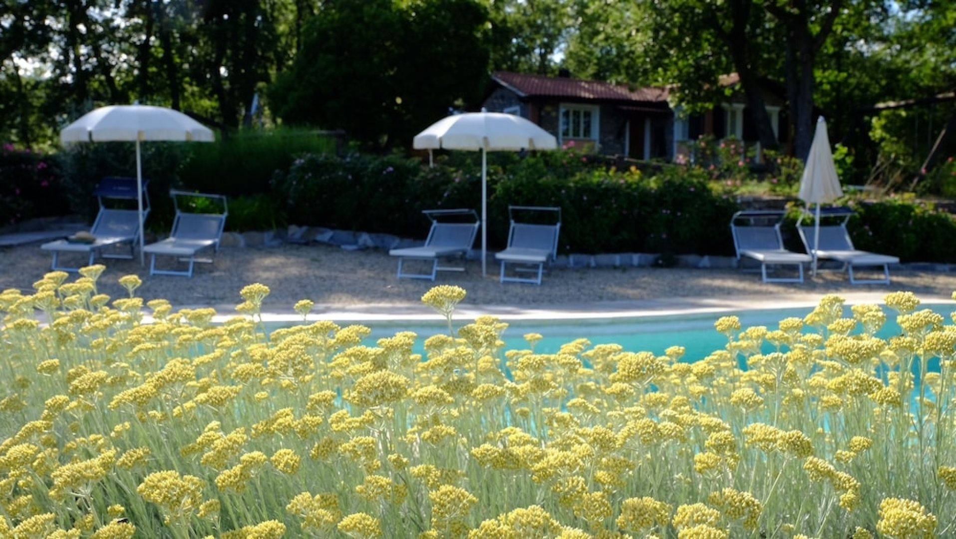 Agriturismo Il Roccolo