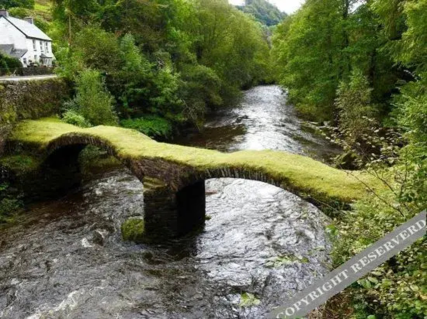 Ty Derw Country House B&B