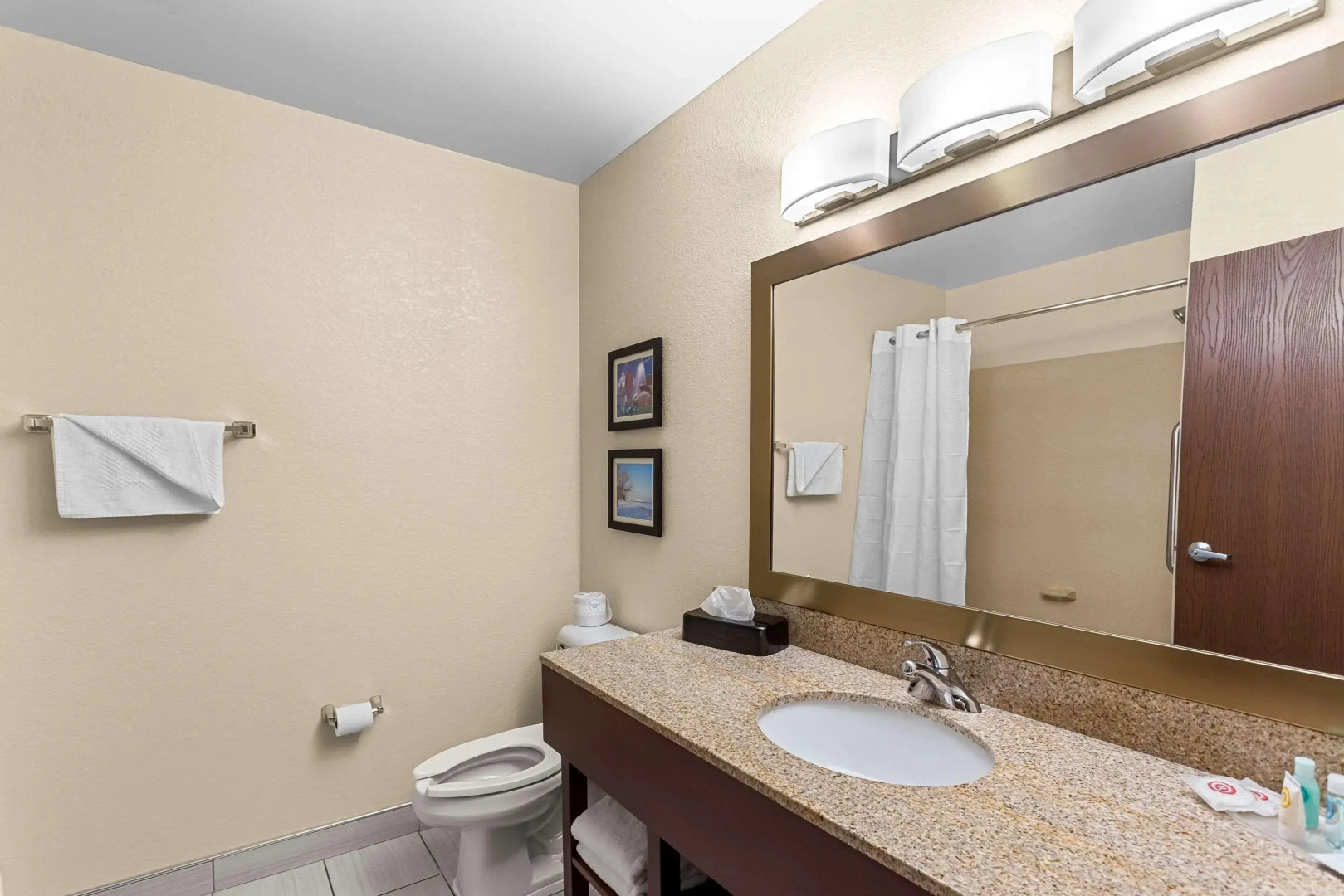 Comfort Suites Grayslake near Libertyville North