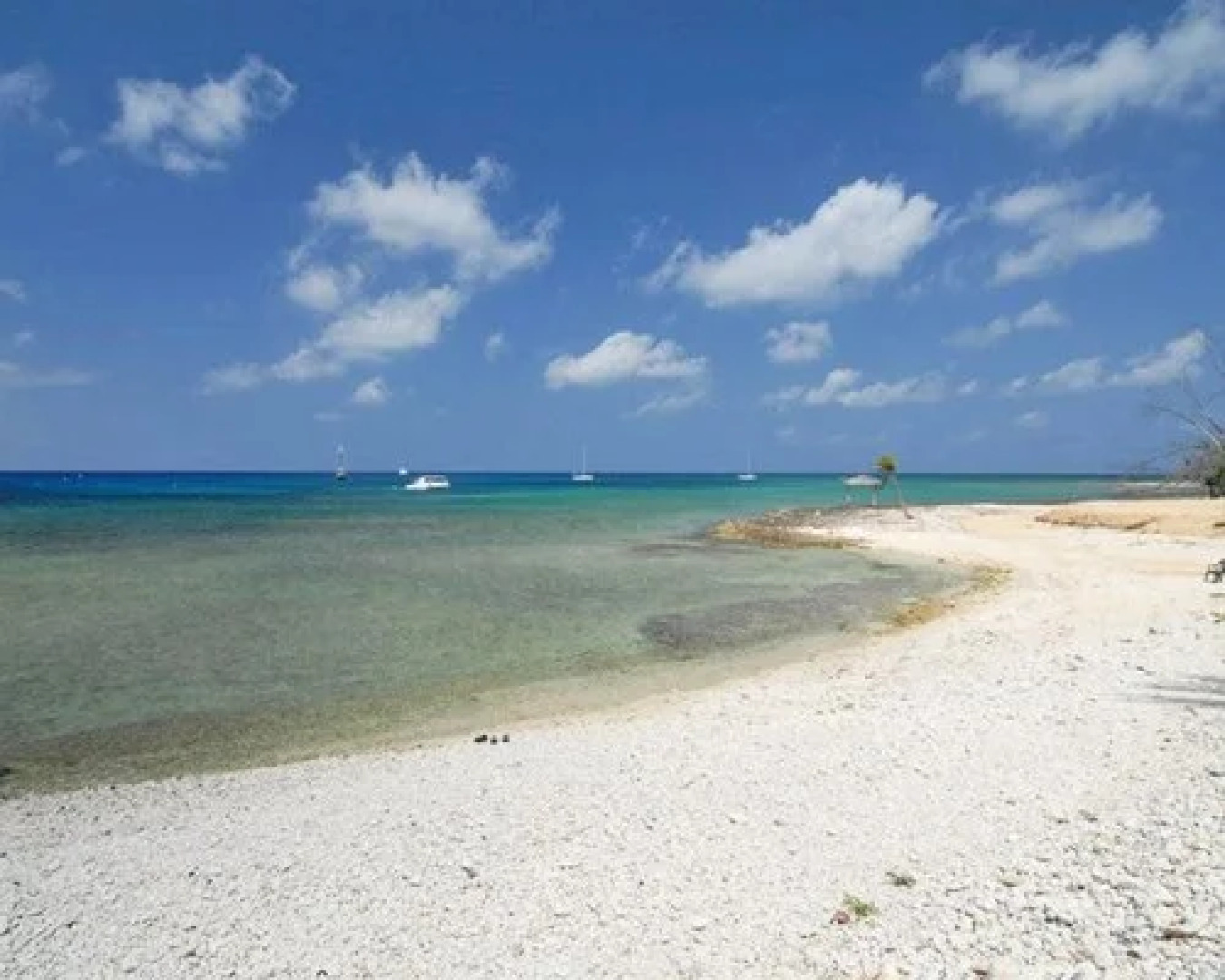Coral Sands Resort, Grand Cayman, Cayman Islands