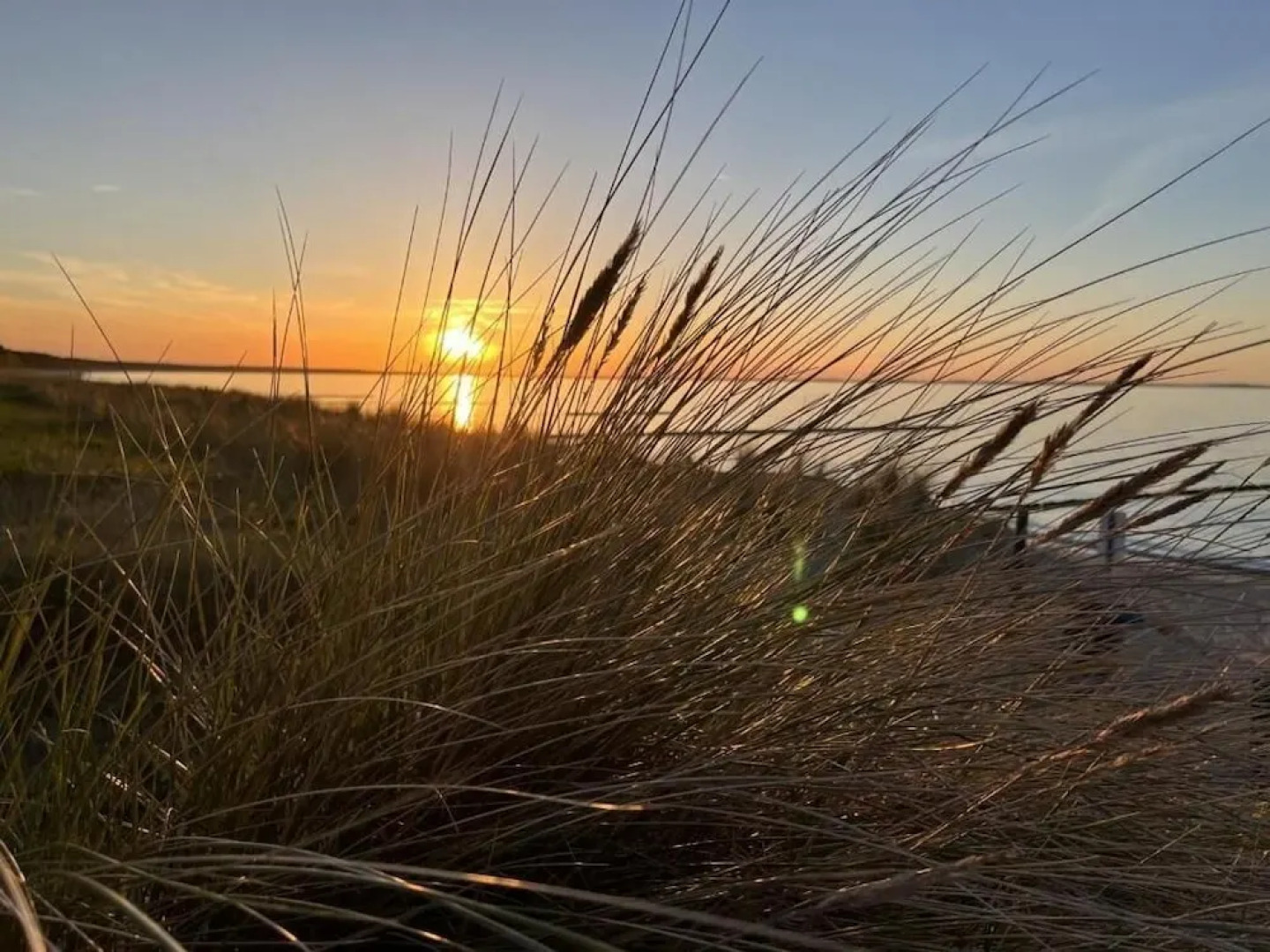 Revier Albatros 23 - KASTELLA