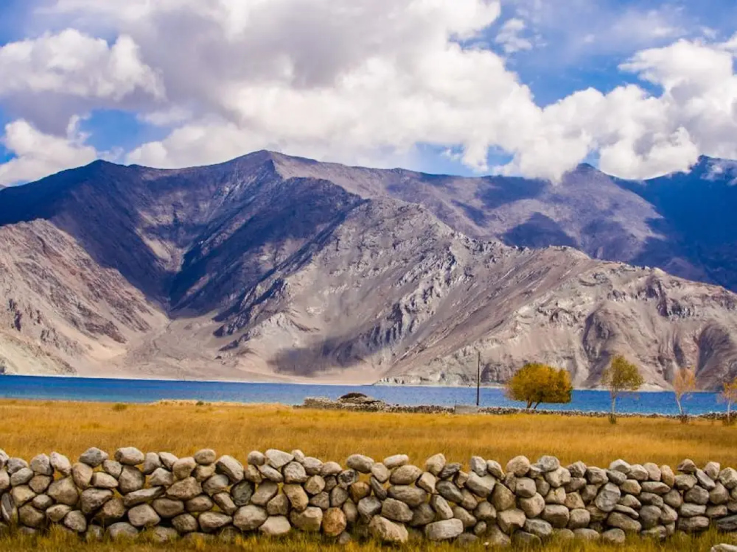 Tsomoriri Camp And Resort