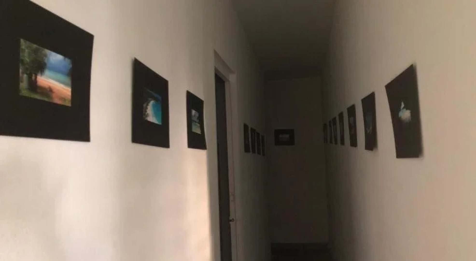 Vieques Hostel Good Vibe House