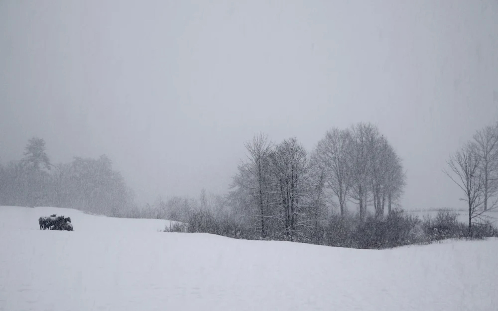 The Inn on Lake Champlain