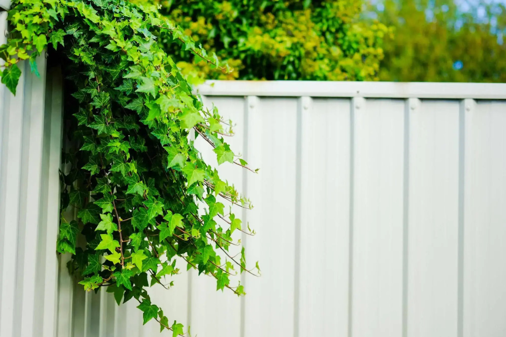 Ann’s Volcanic Motel